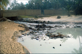 Effluents being let out into sea by TTP in
          Trivandrum